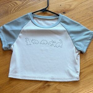 Dinosaur Graphic crop top Tee - Gray